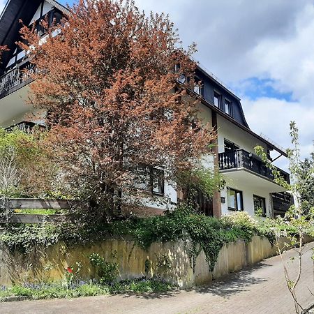 Ferienwohnung Bergblick Hallenberg Zewnętrze zdjęcie