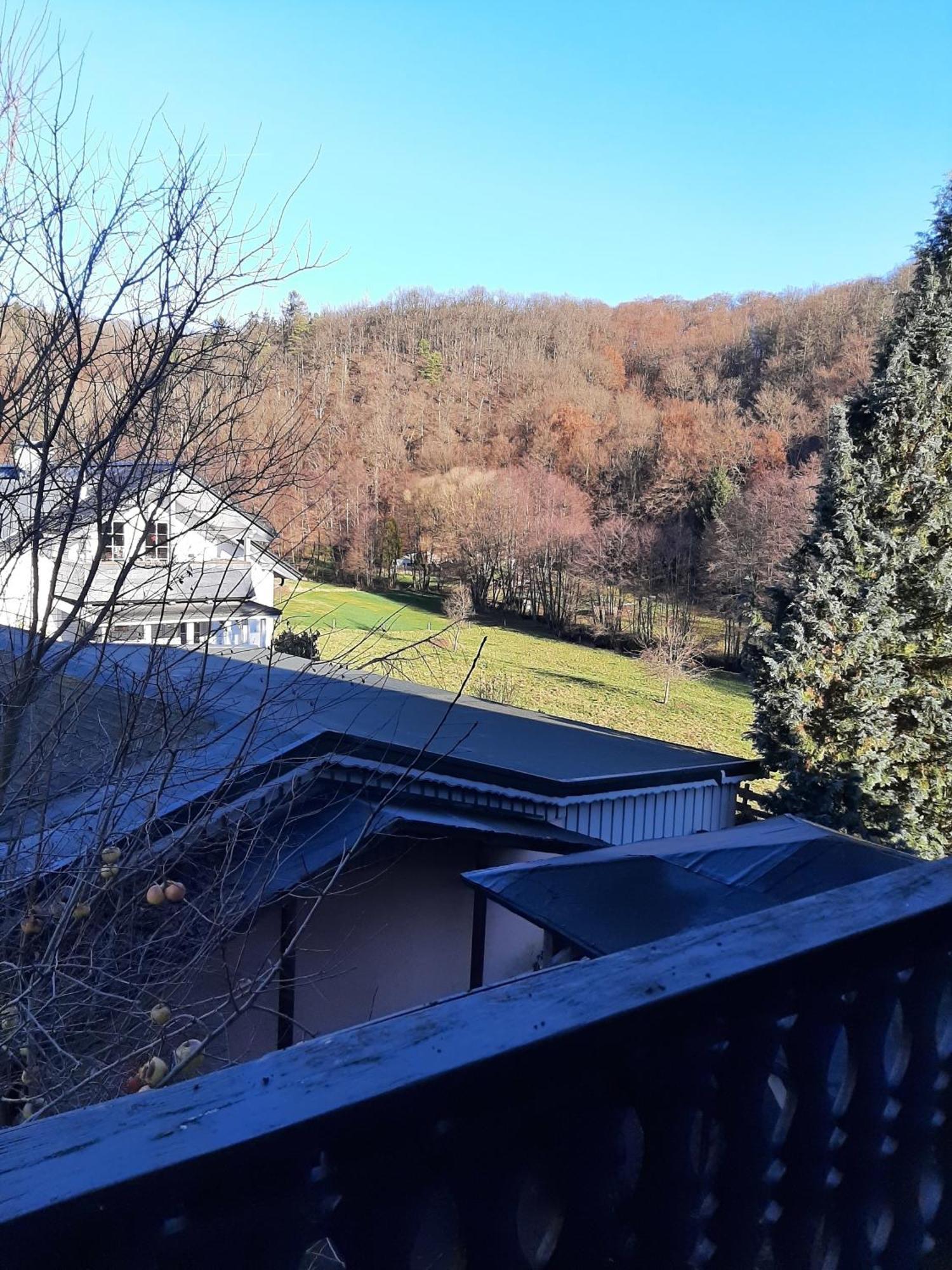 Ferienwohnung Bergblick Hallenberg Zewnętrze zdjęcie